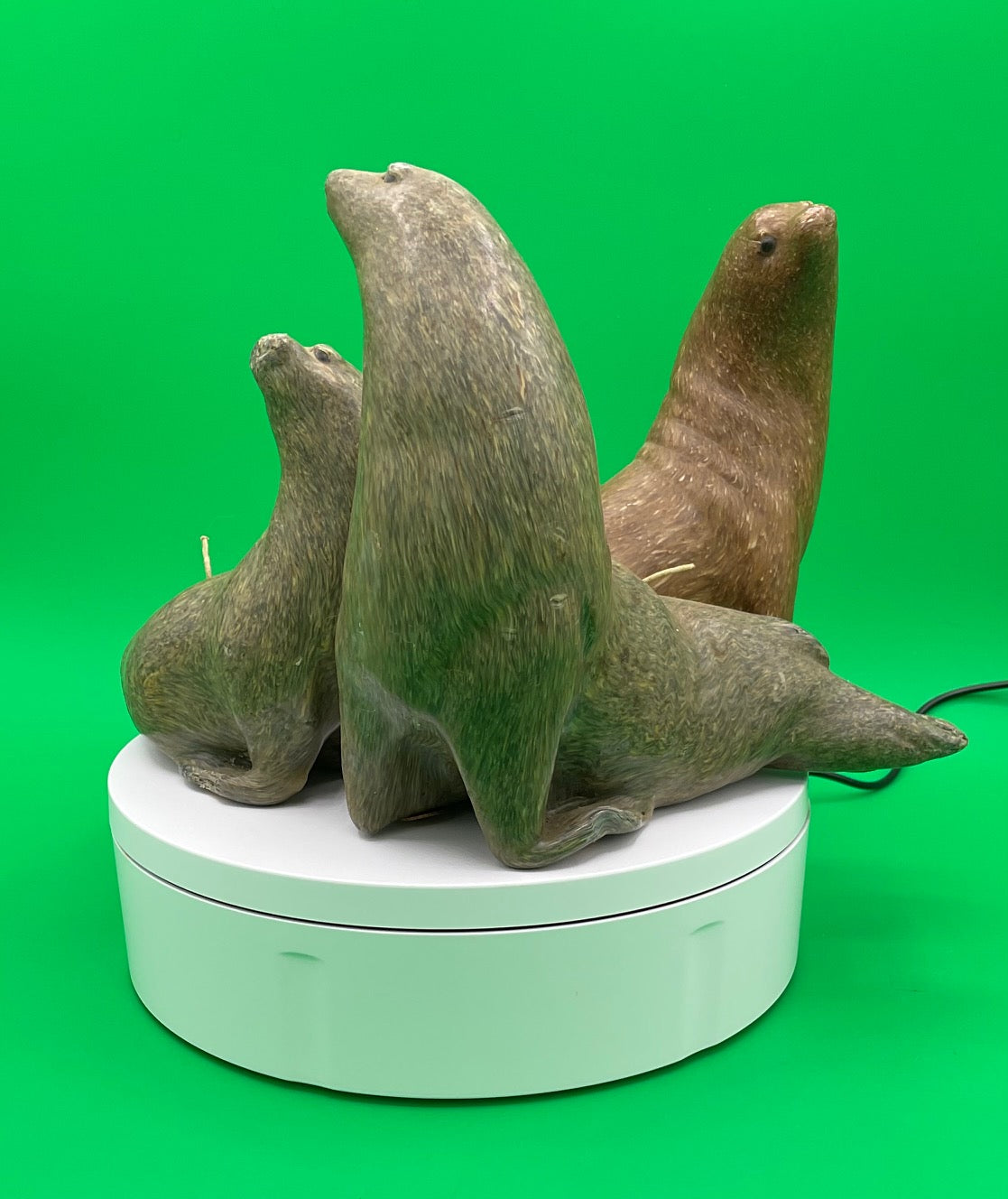 Sea Lion Candles