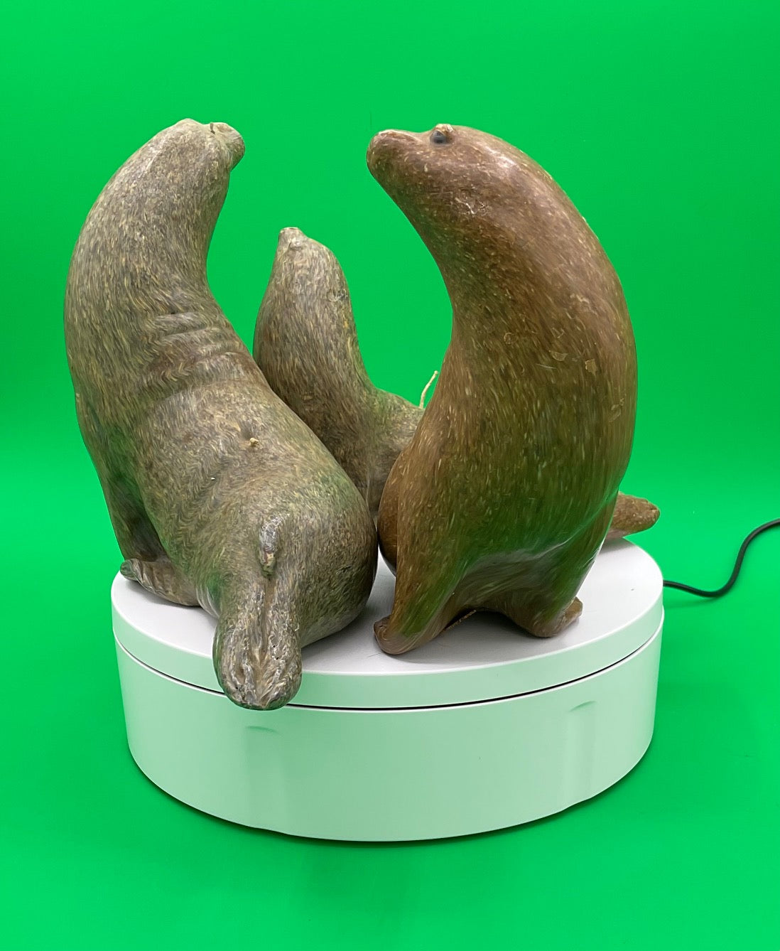 Sea Lion Candles