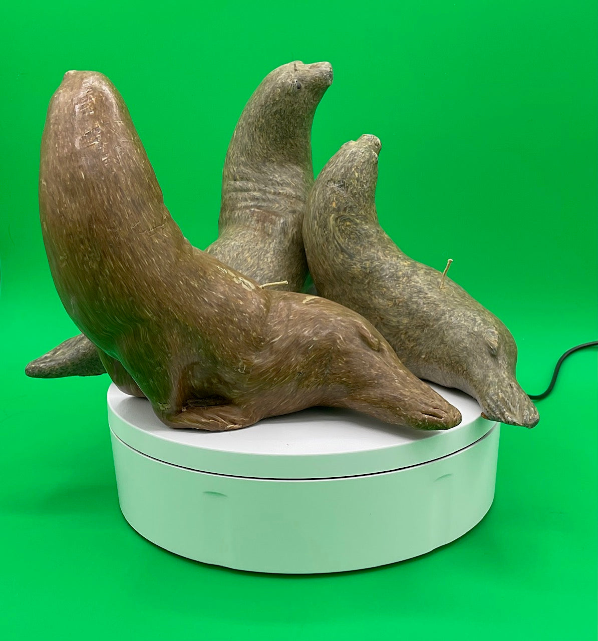 Sea Lion Candles