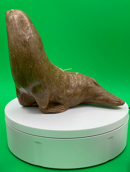 Sea Lion Candles