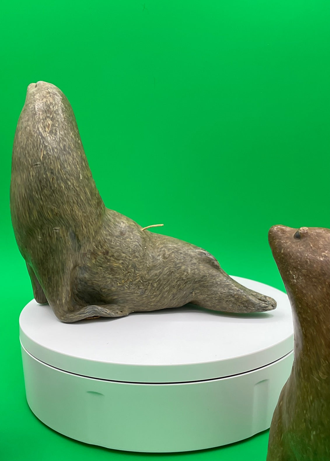 Sea Lion Candles