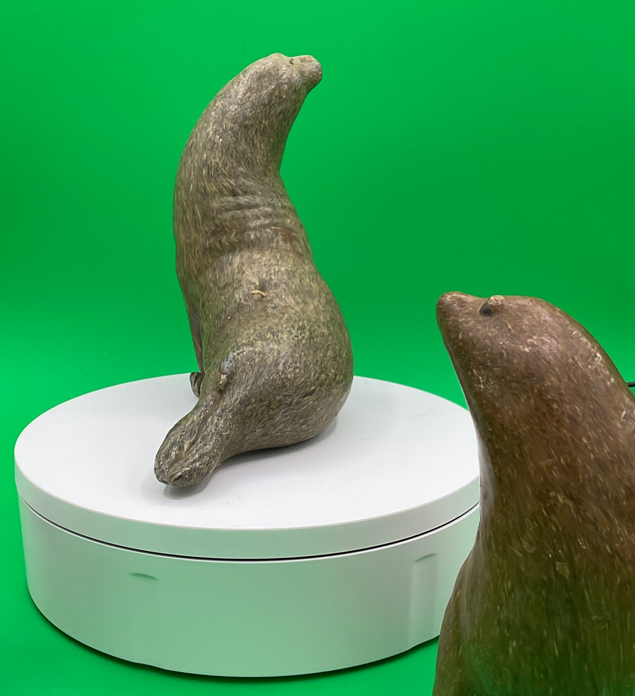 Sea Lion Candles