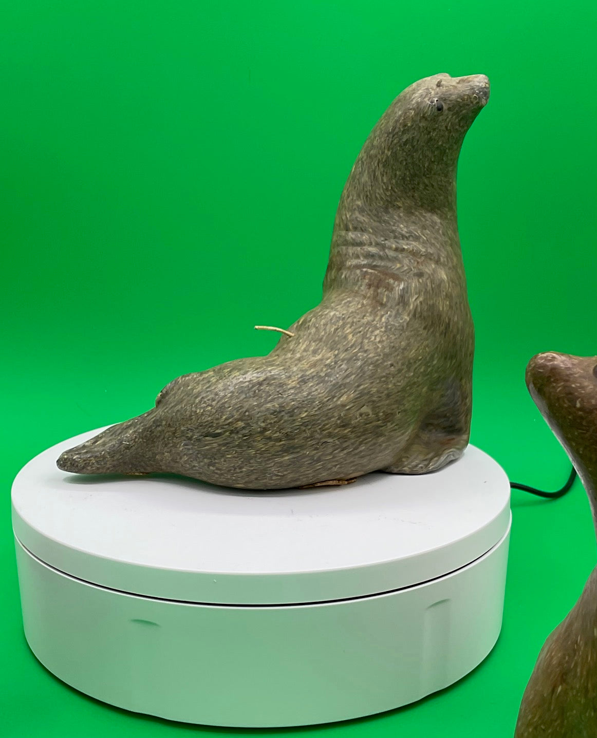 Sea Lion Candles