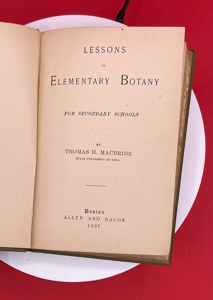 Lessons In Elementary Botany For Secondary Schools