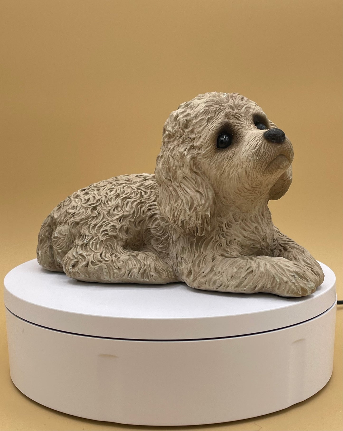 Sandicast Miniature Poodle - Sandra Brue - 1981