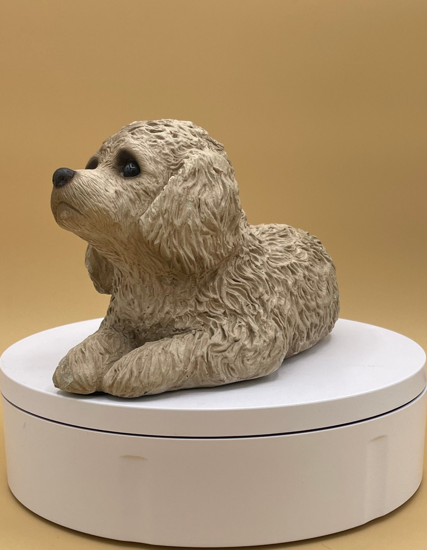 Sandicast Miniature Poodle - Sandra Brue - 1981