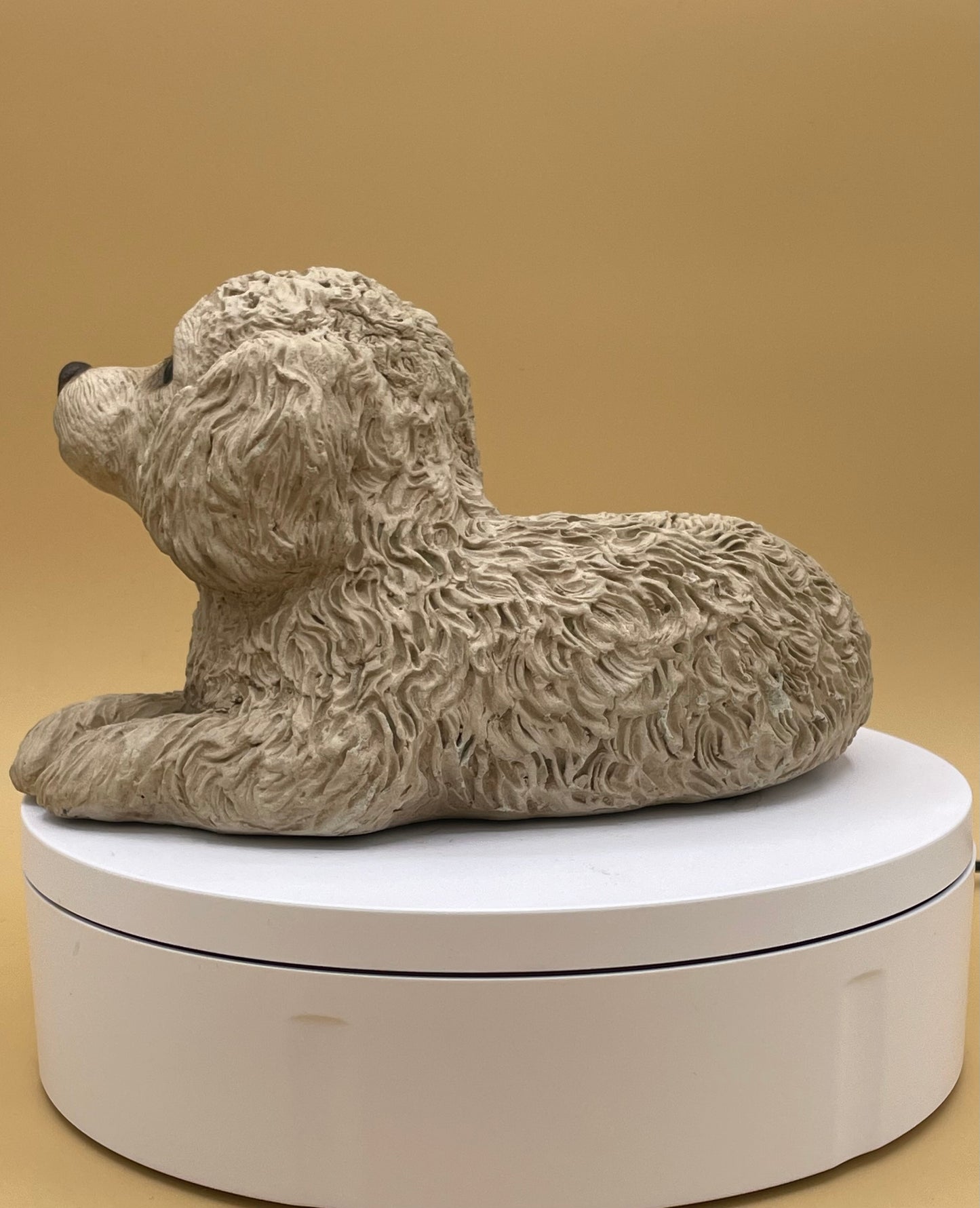 Sandicast Miniature Poodle - Sandra Brue - 1981