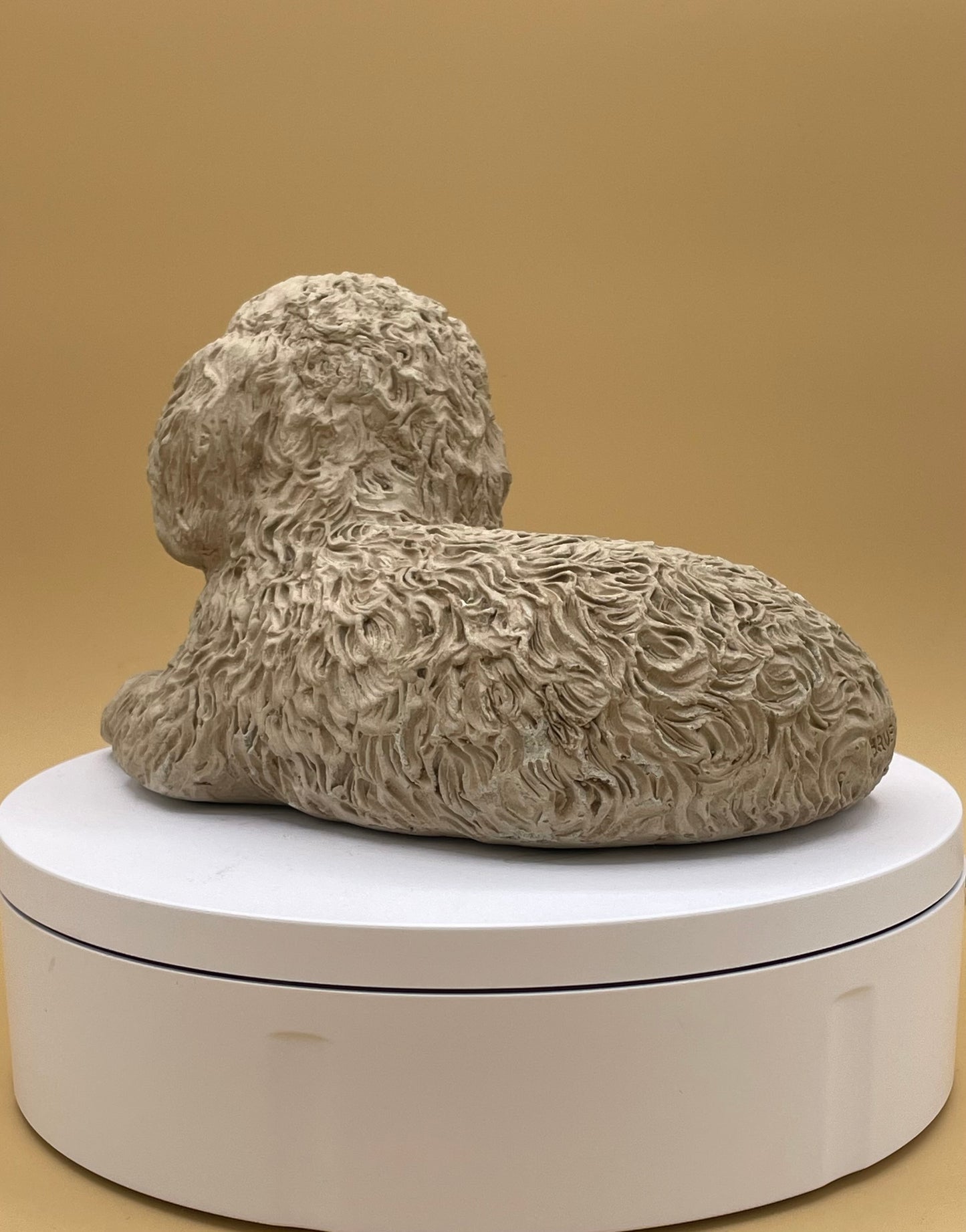 Sandicast Miniature Poodle - Sandra Brue - 1981