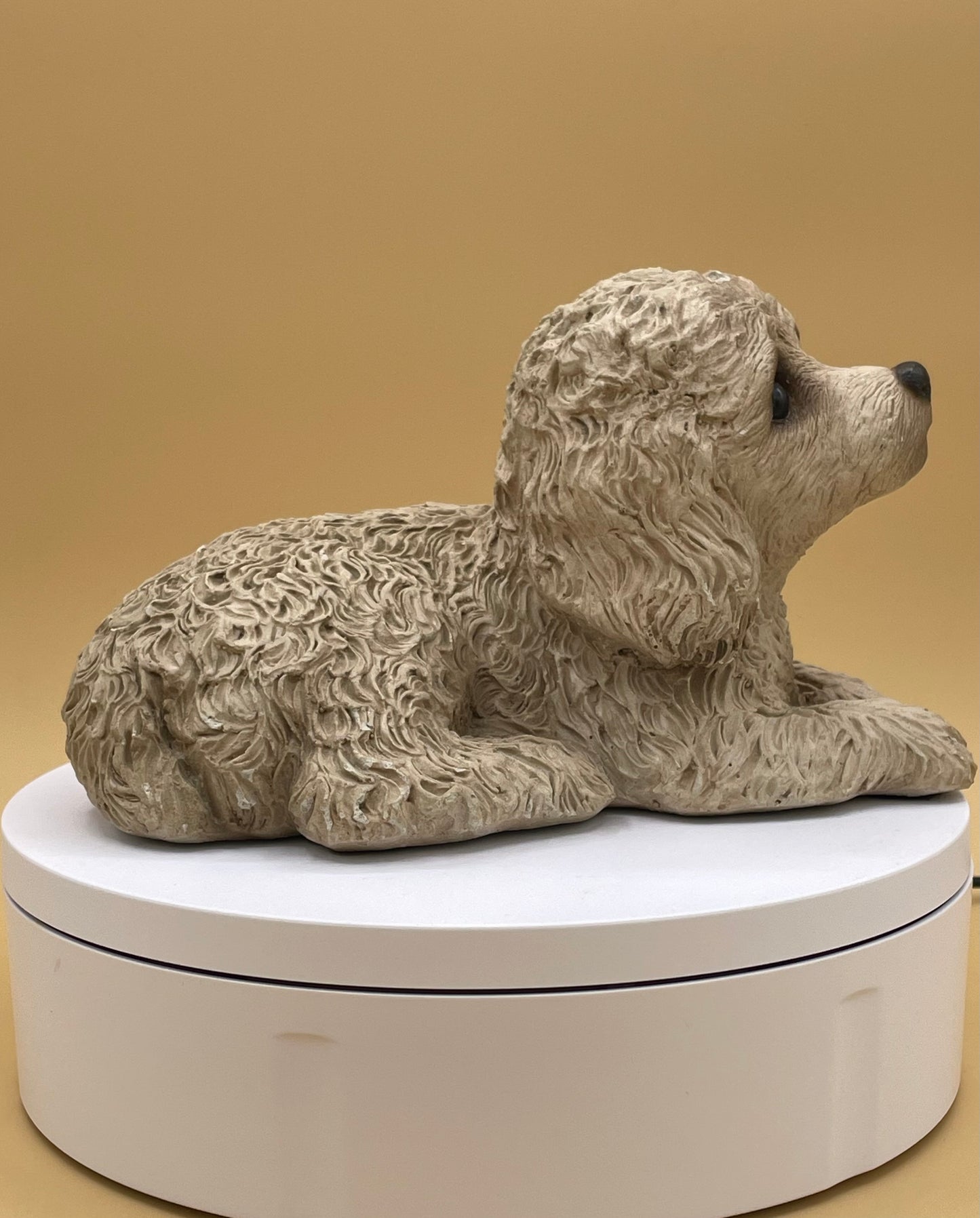 Sandicast Miniature Poodle - Sandra Brue - 1981