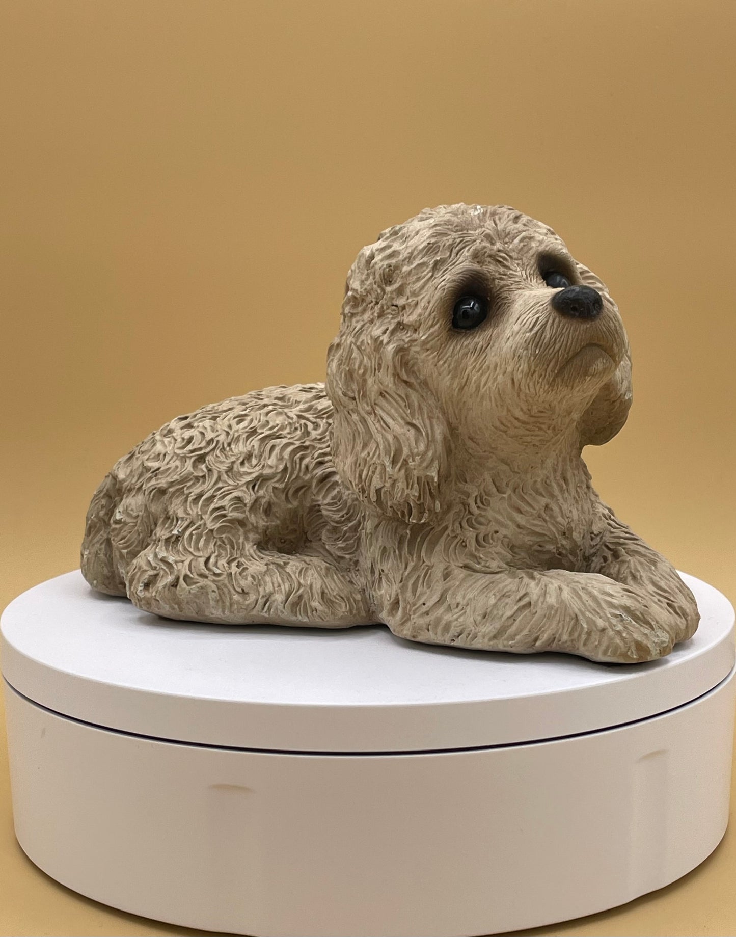 Sandicast Miniature Poodle - Sandra Brue - 1981